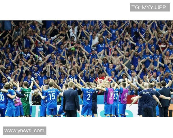 冰岛足球明星阵容揭秘他们在国际赛场上的辉煌表现与成就